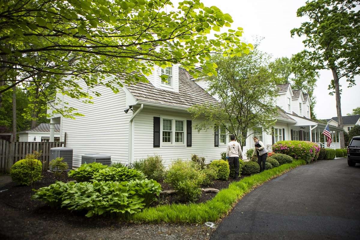 Front yard landscape with annuals and perennials in Virginia