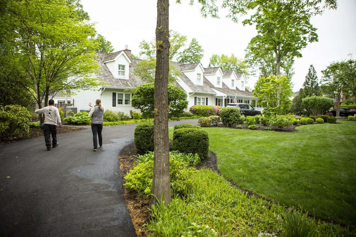 professional landscape designers planning landscape redo