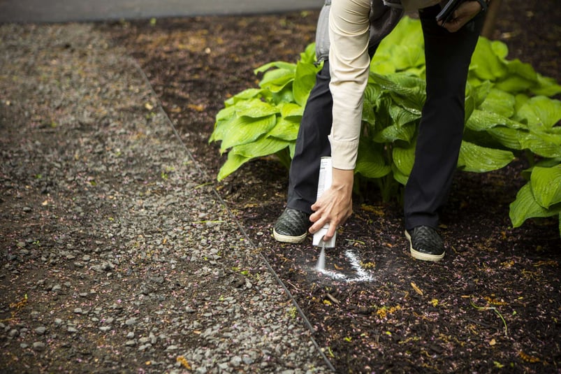 landscape redo transplanting plants