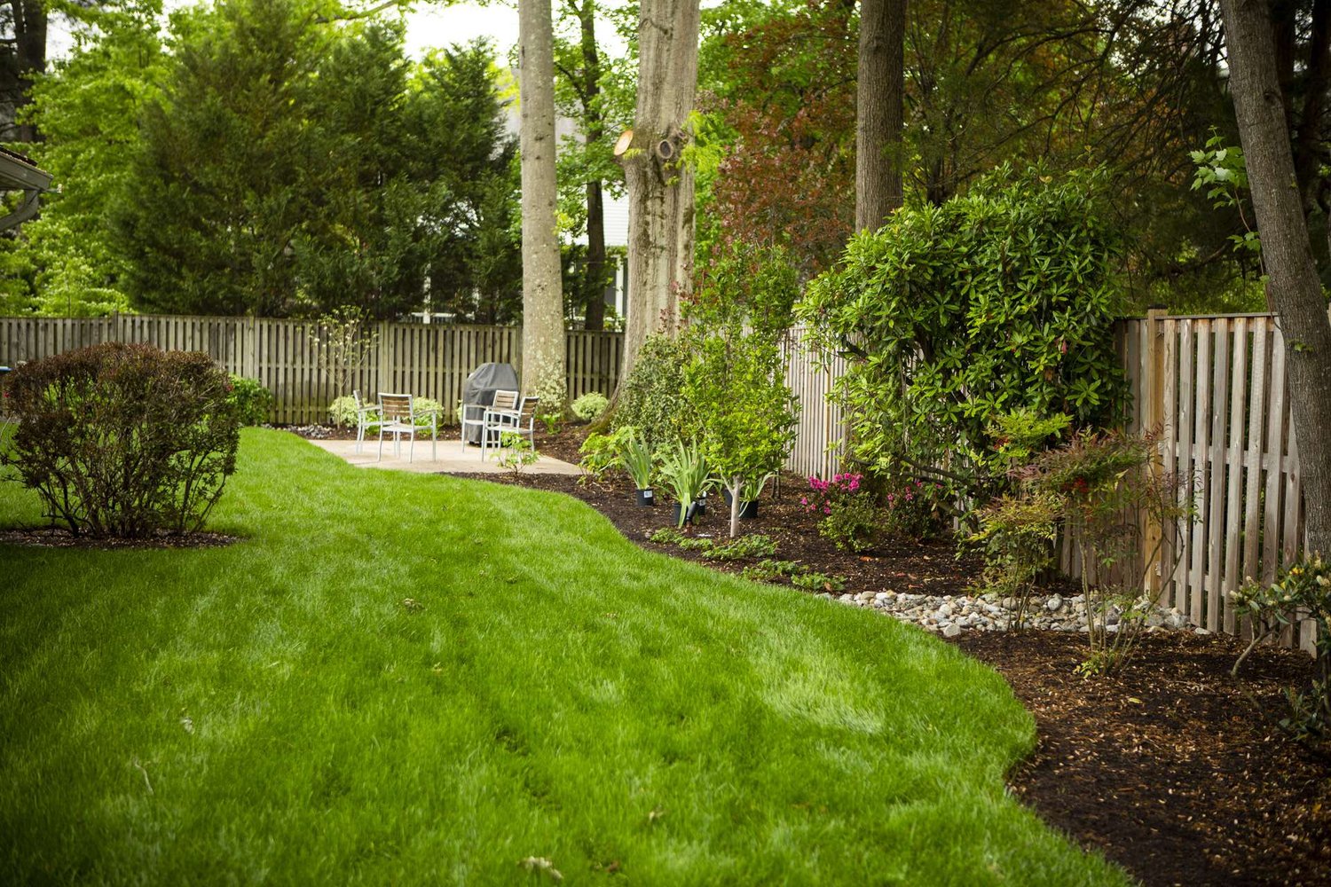 Green lush lawn looking good from annual aeration