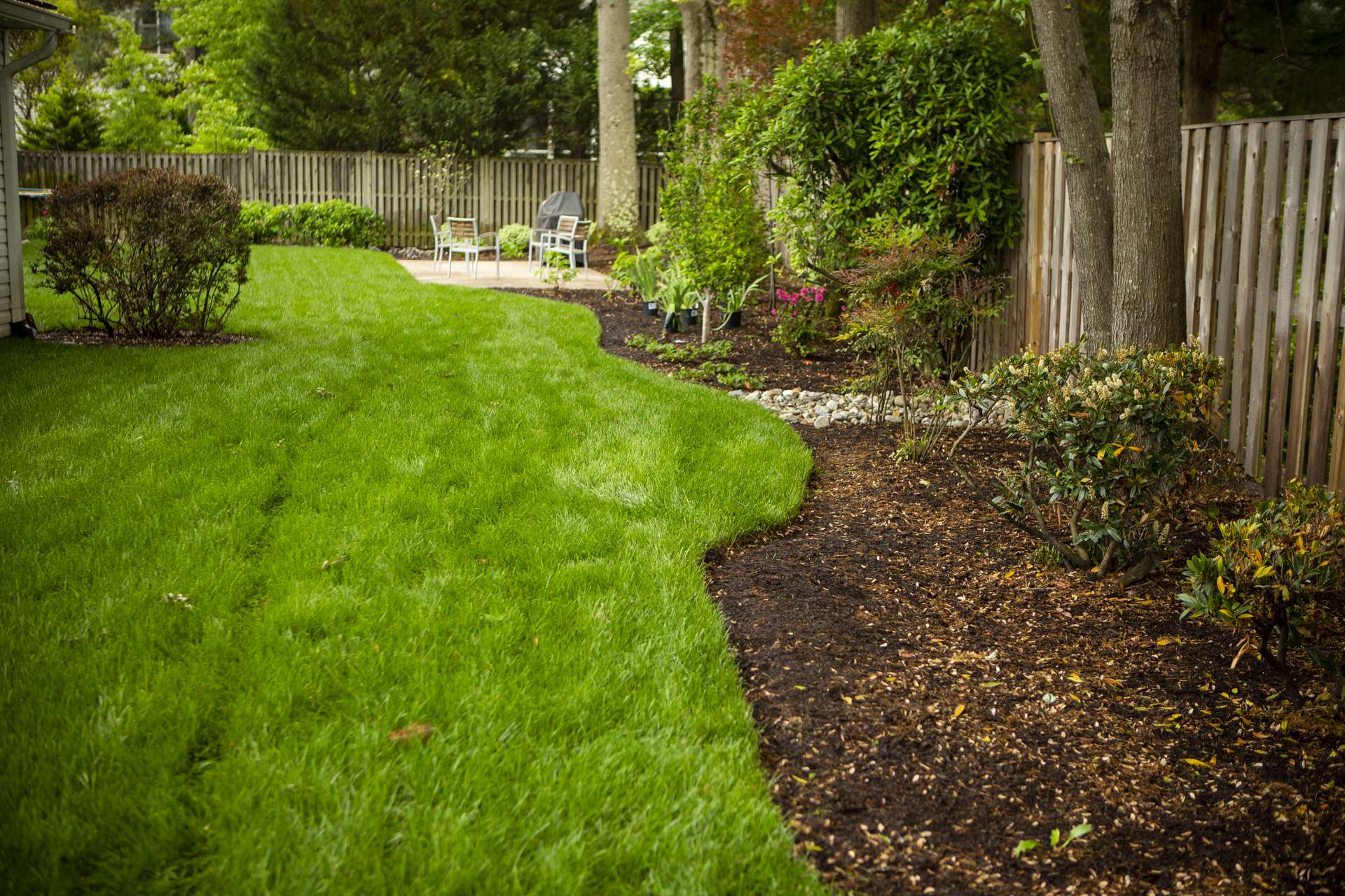 crisp edging between lawn and plant bed