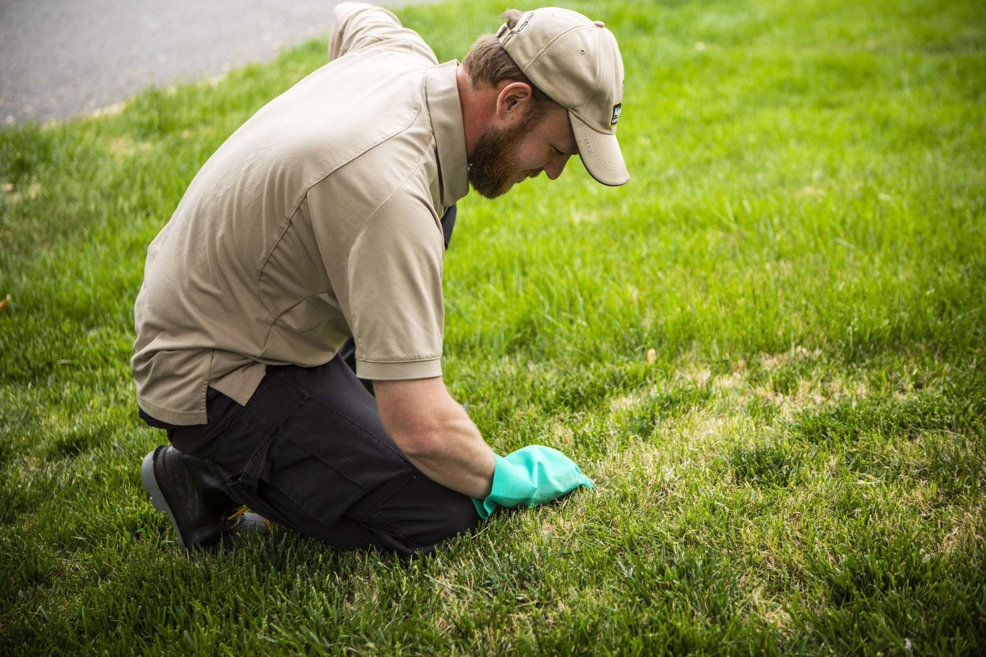 Lawn care professional inspecting lawn