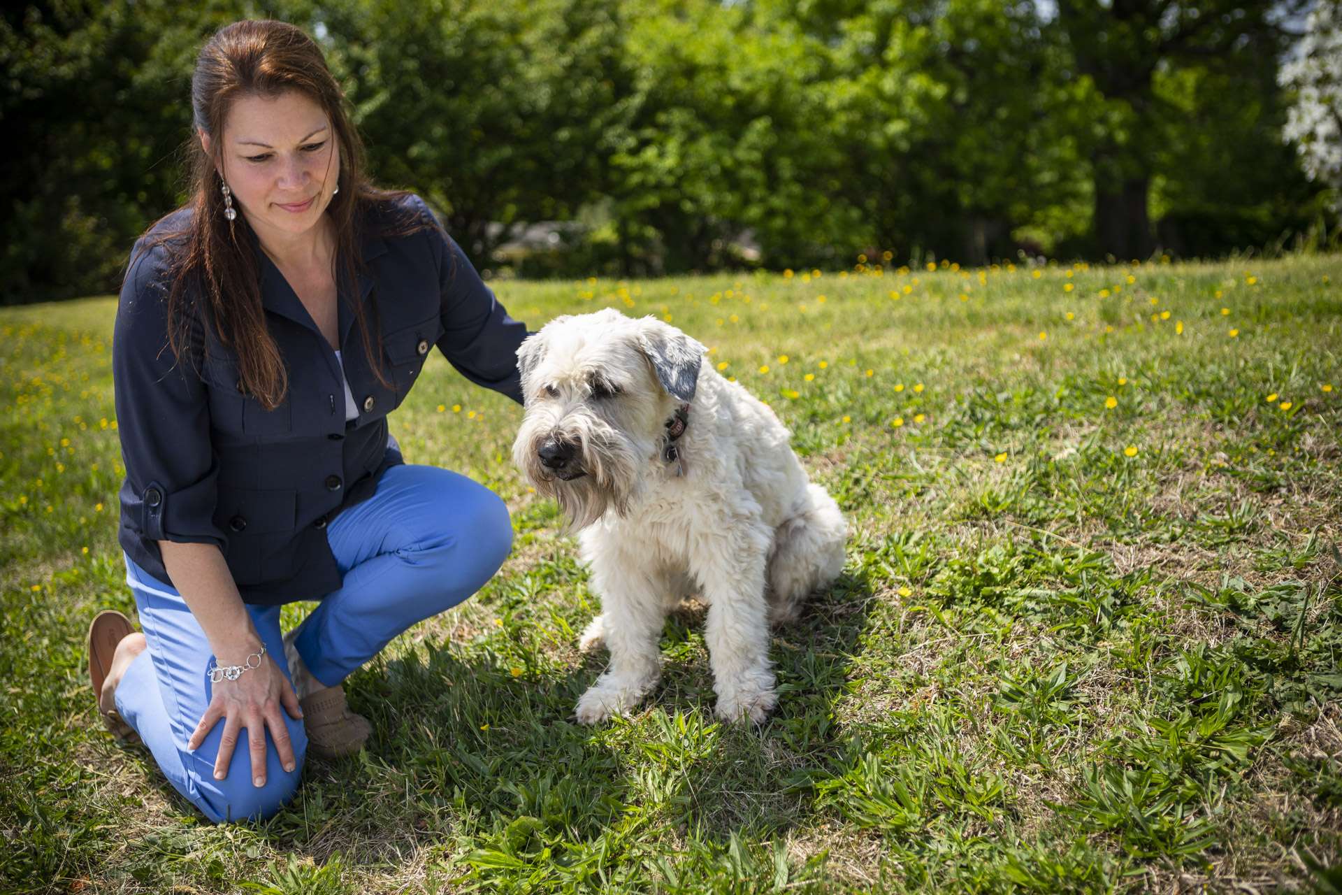 lawn-weeds-dog-customer-2