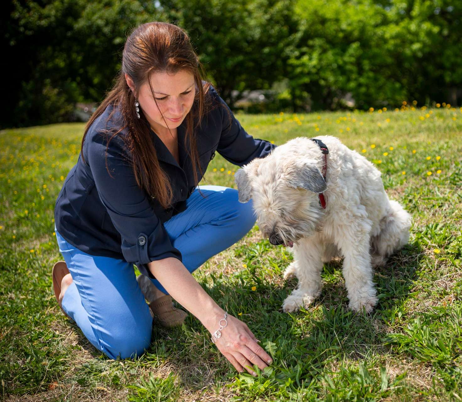 lawn-weeds-dog-customer-3