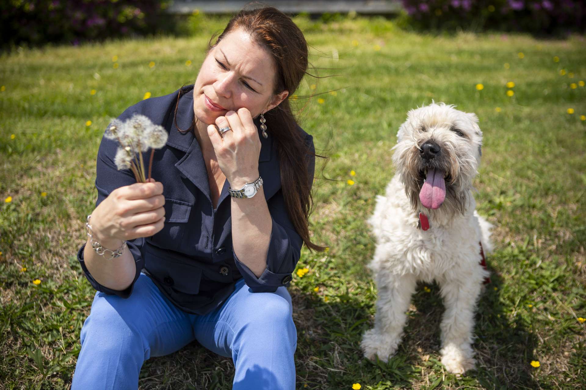 lawn-weeds-dog-customer-8