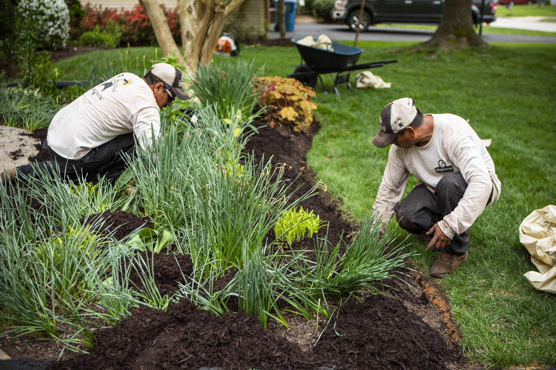 maintenance-mulch-plantings-shrubs