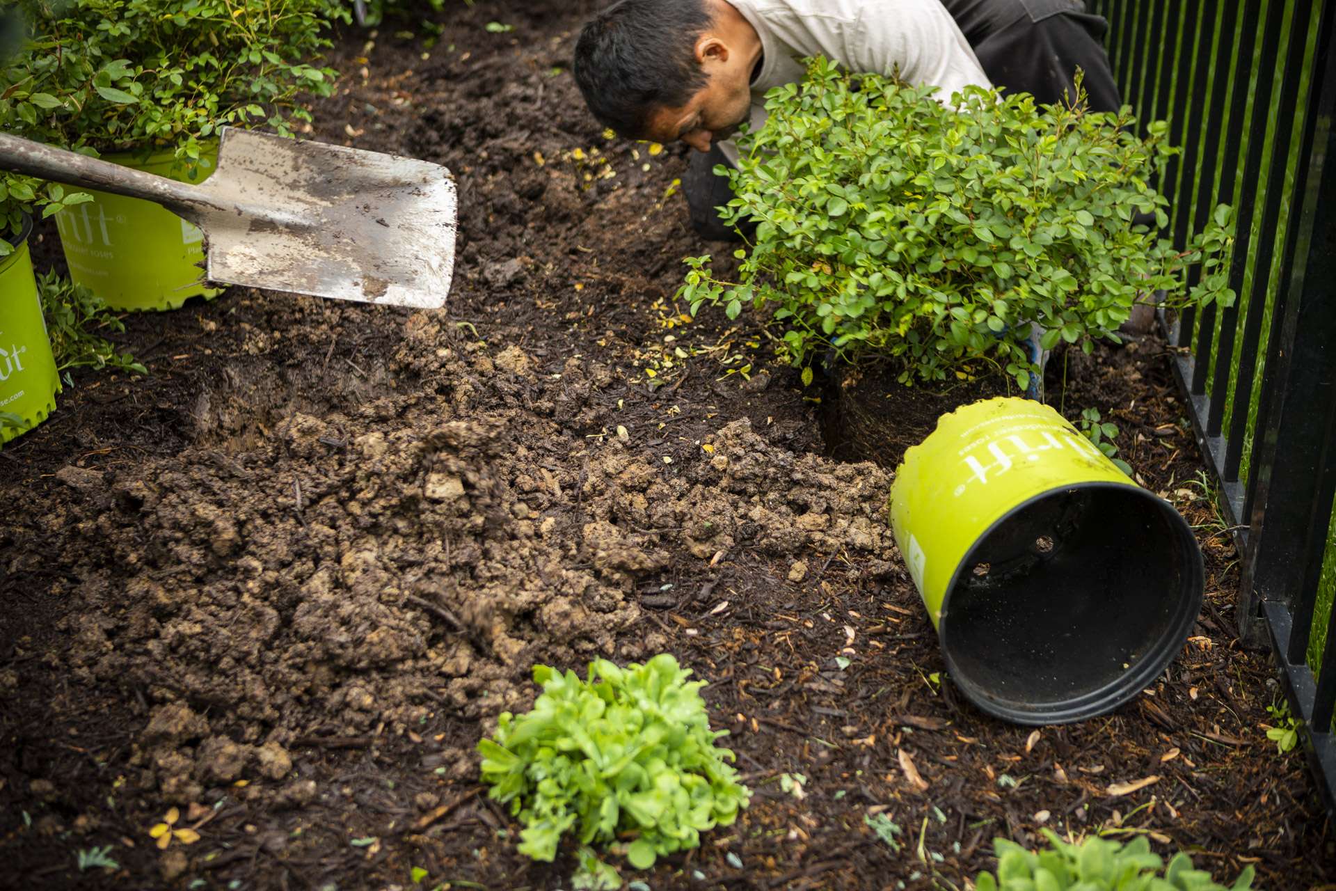 maintenance-planting-containers-installation-11