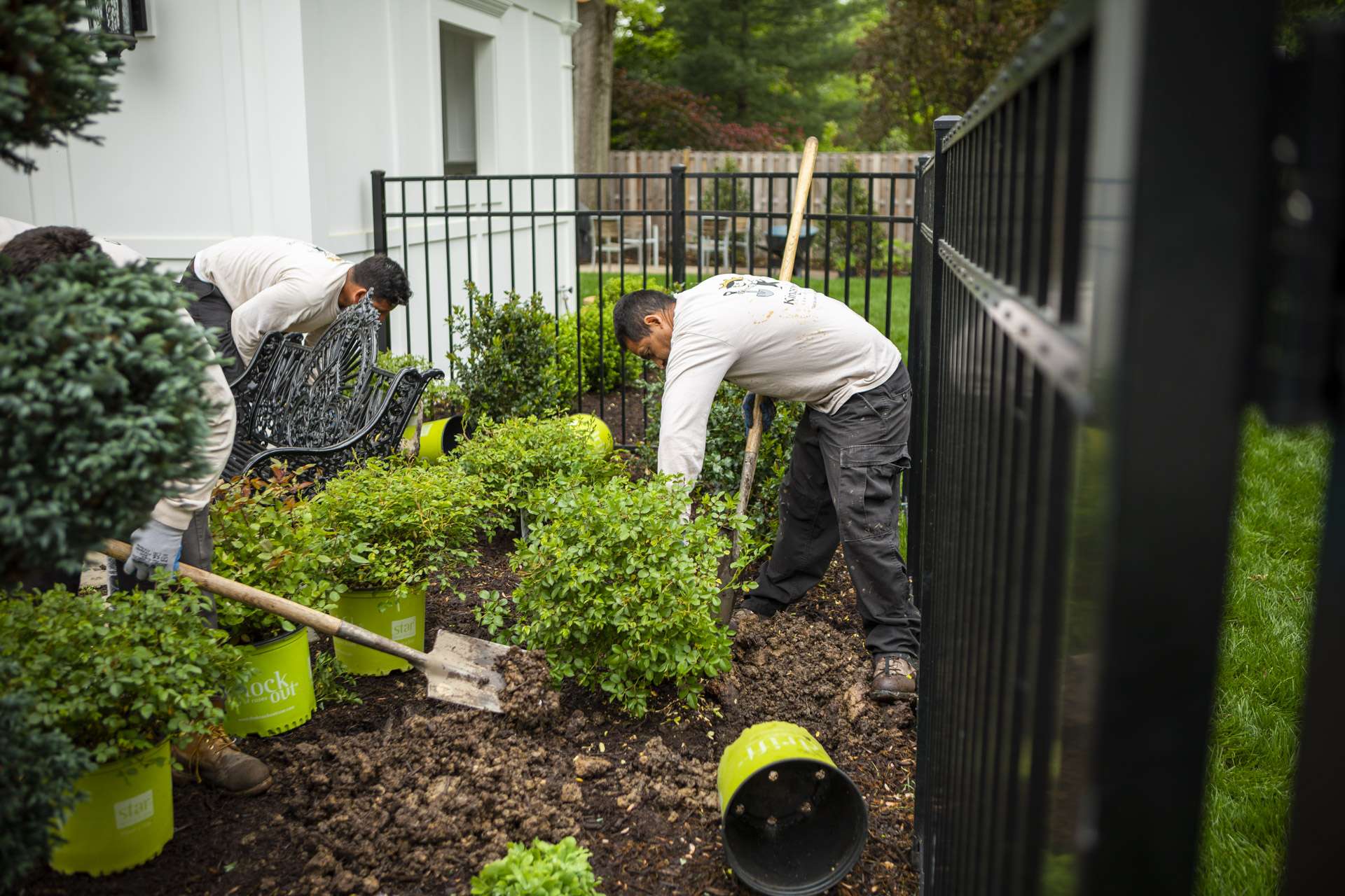 Landscape professionals installing new plants in summer months