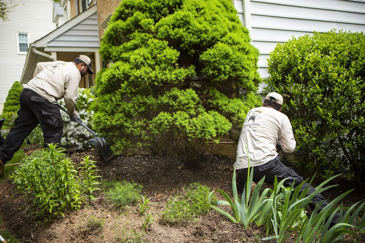 landscape experts spread mulch