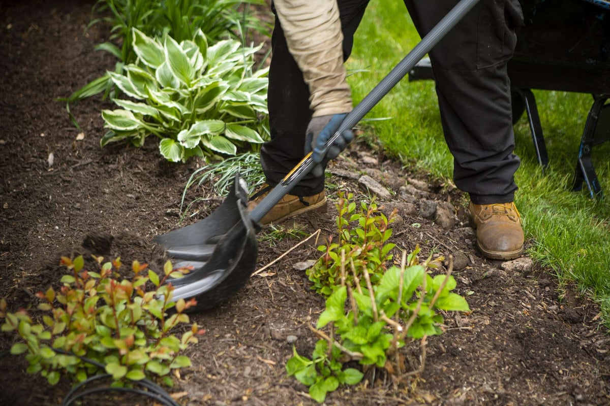 lawn maintenance team shovels soil