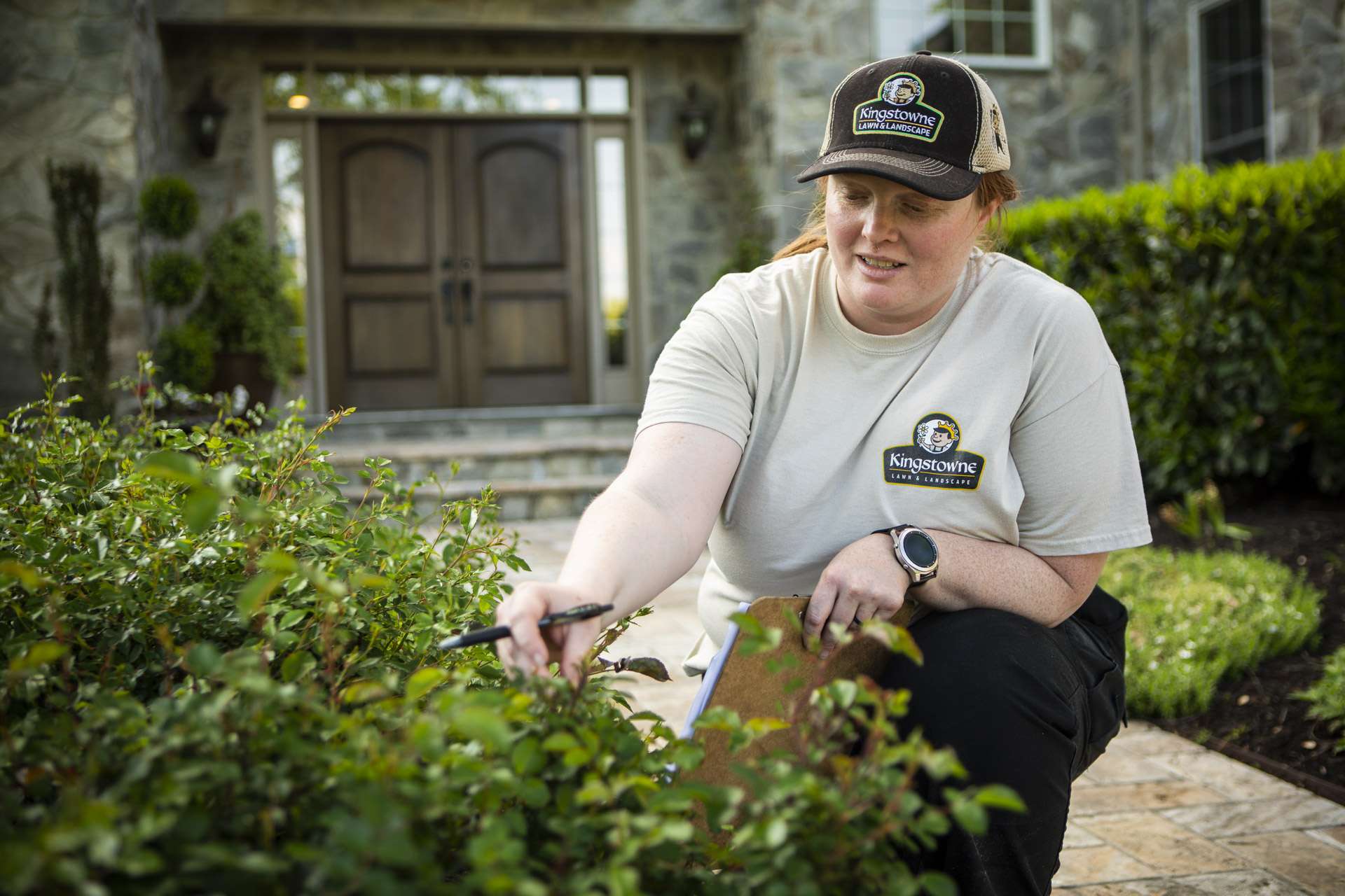 Kingstowne Lawn & Landscape technician inspecting shrubs