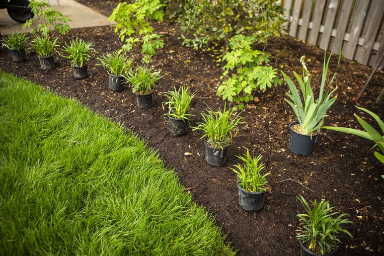 plantings-containers-installation-shrubs-mulch