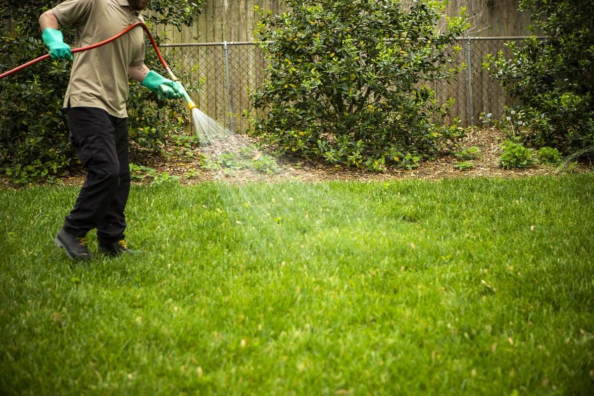 technician spraying lawn for weeds