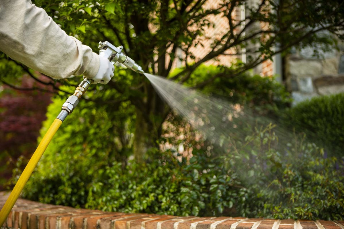 plant health care technician sprays fertilizer on bushes