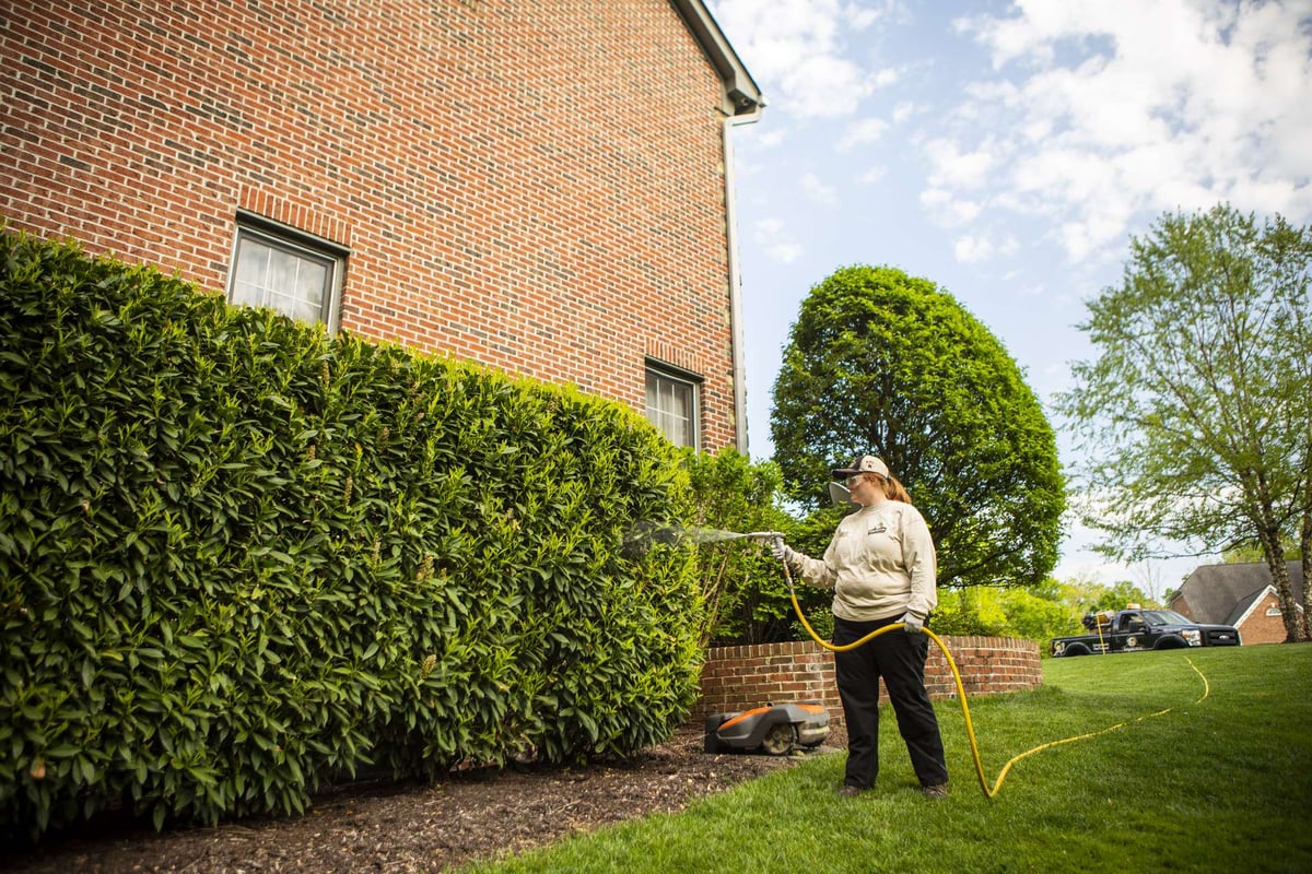 plant health care expert sprays shrubs