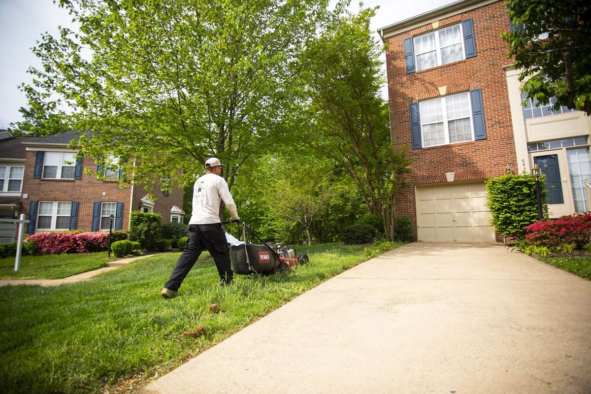 townhome-lawn-plantings-mowing-4
