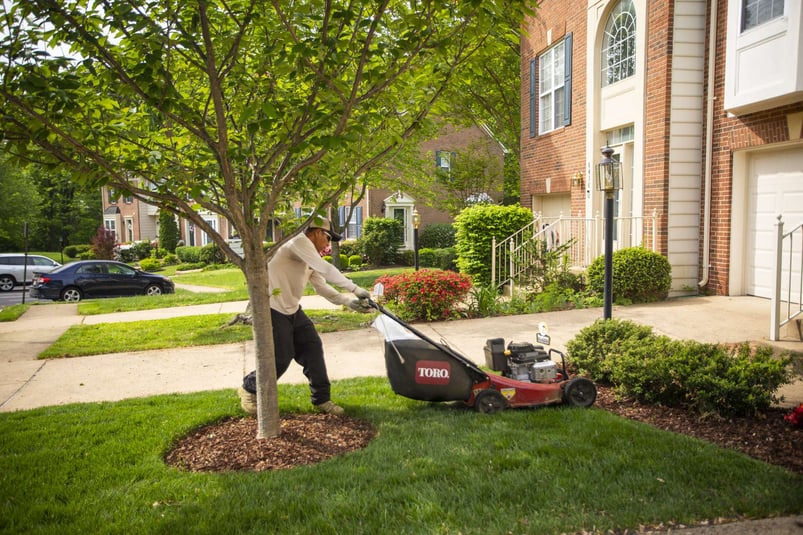 lawn technician mowing lawn