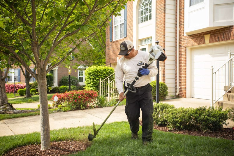 professional landscape technician edging