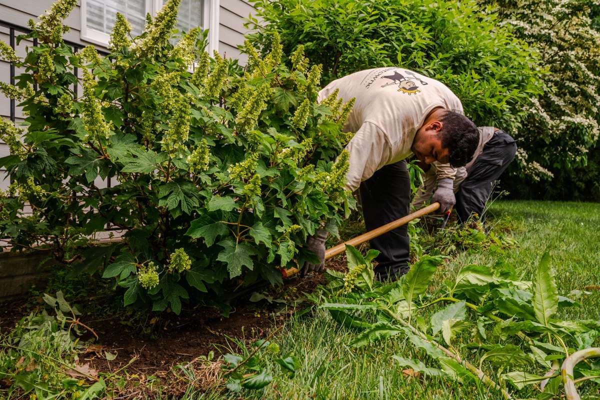 landscape maintenance team weeding beds