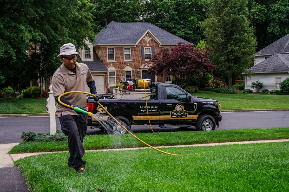 lawn care technician spraying for weeds with truck parked on street