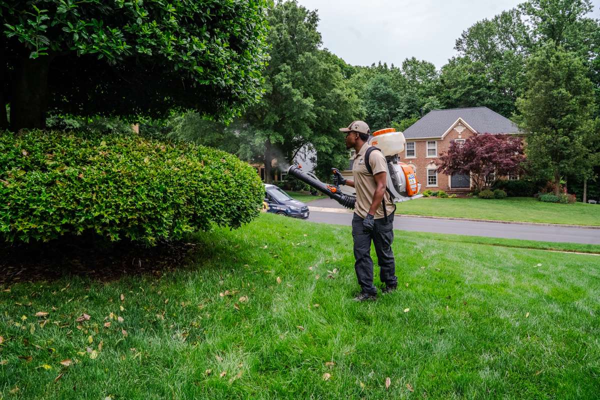 pest control technician sprays for fleas and ticks