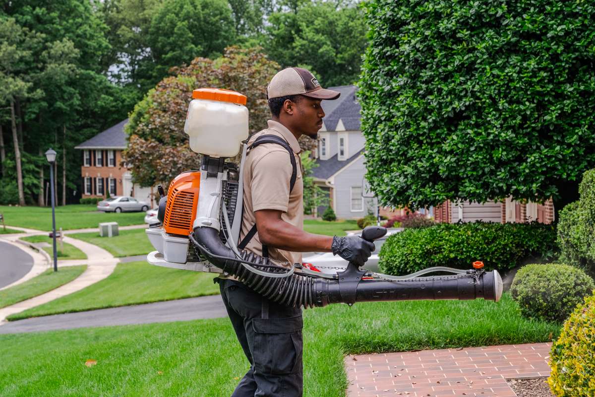 Mosquito control expert sprays for mosquitoes with backpack blower