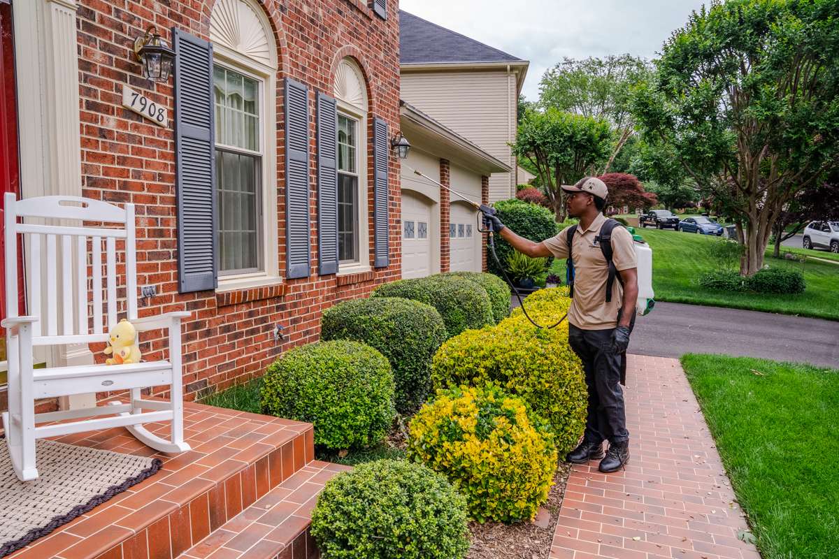 pest control technician sprays near windows of home