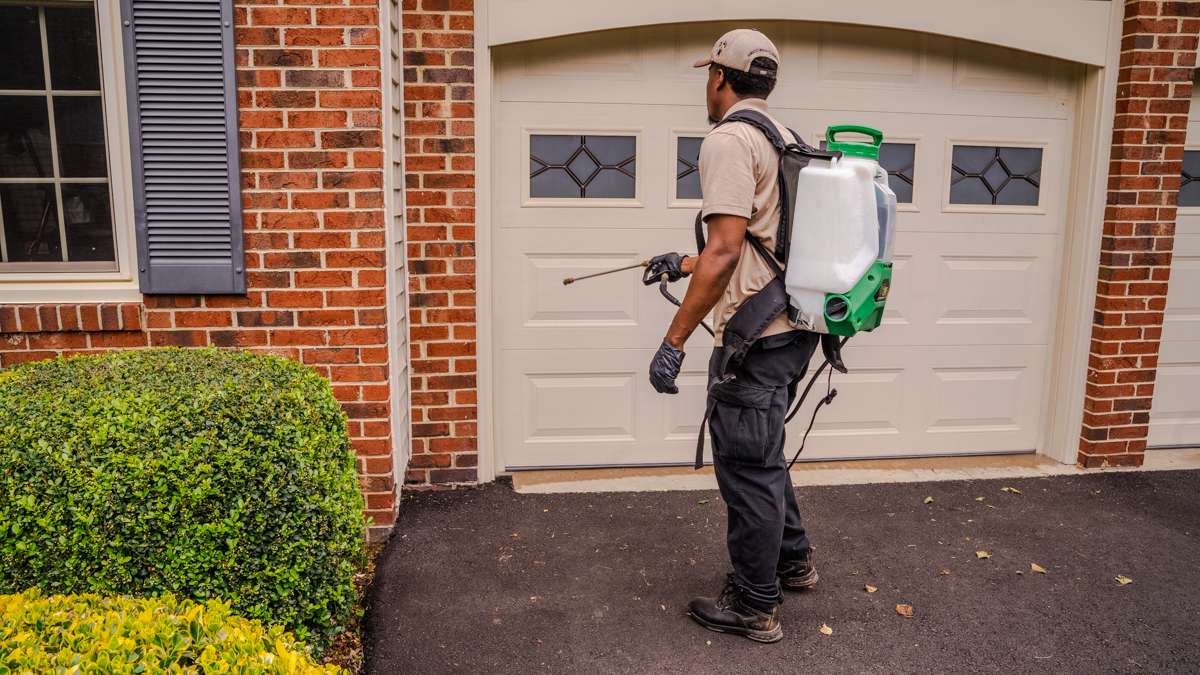 pest control sprays around garage