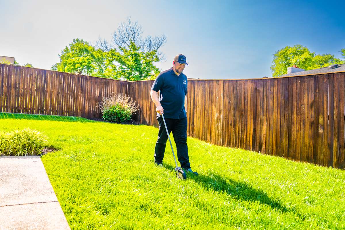 lawn care account manager measuring lawn 2