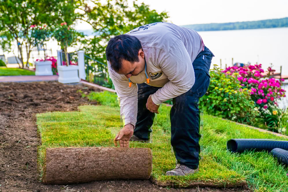 crew team sod installation 1