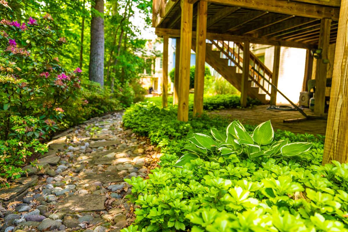 natural stone walkway groundcover