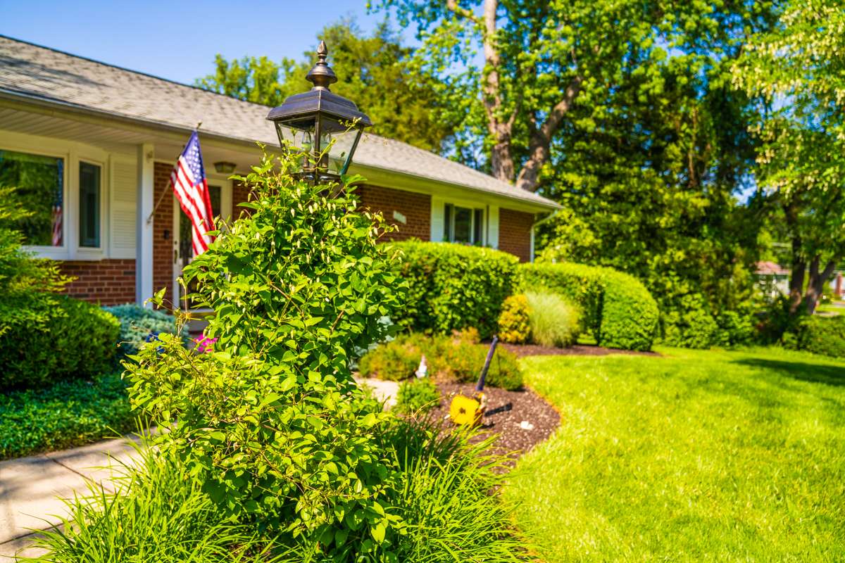 nice landscape planting lawn 6