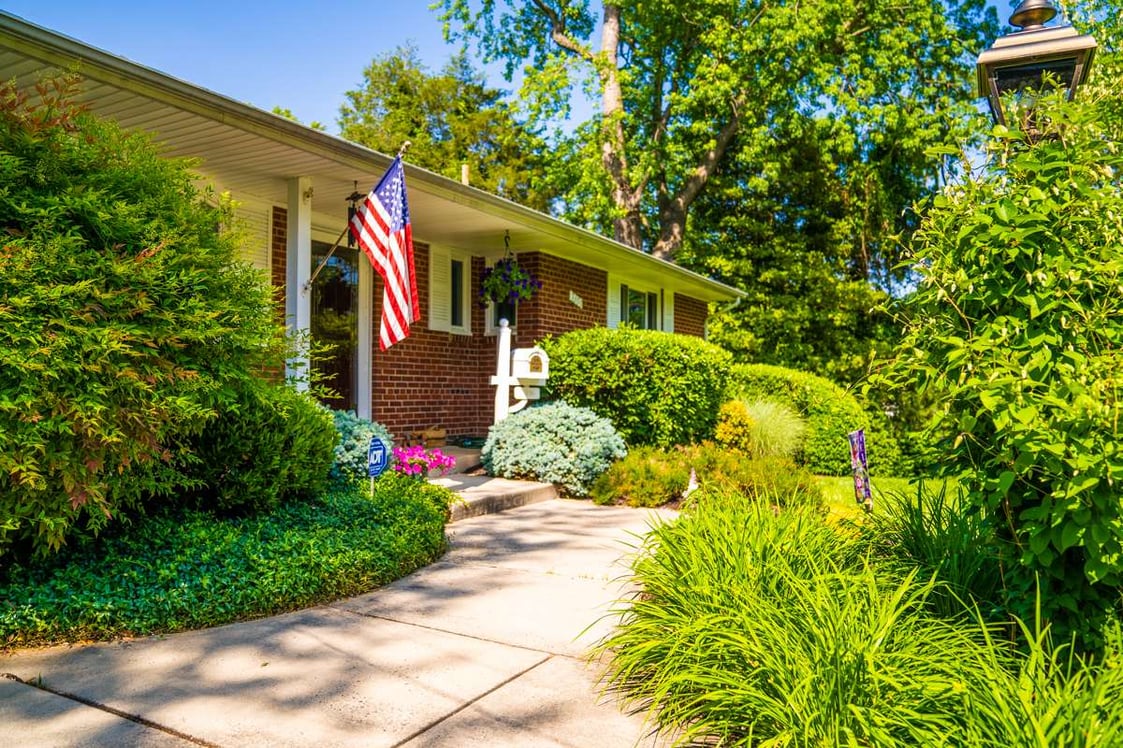 nice landscape planting lawn 7