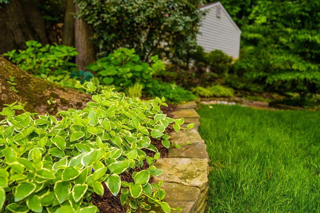 stacked stone edge wall landscping planting lawn