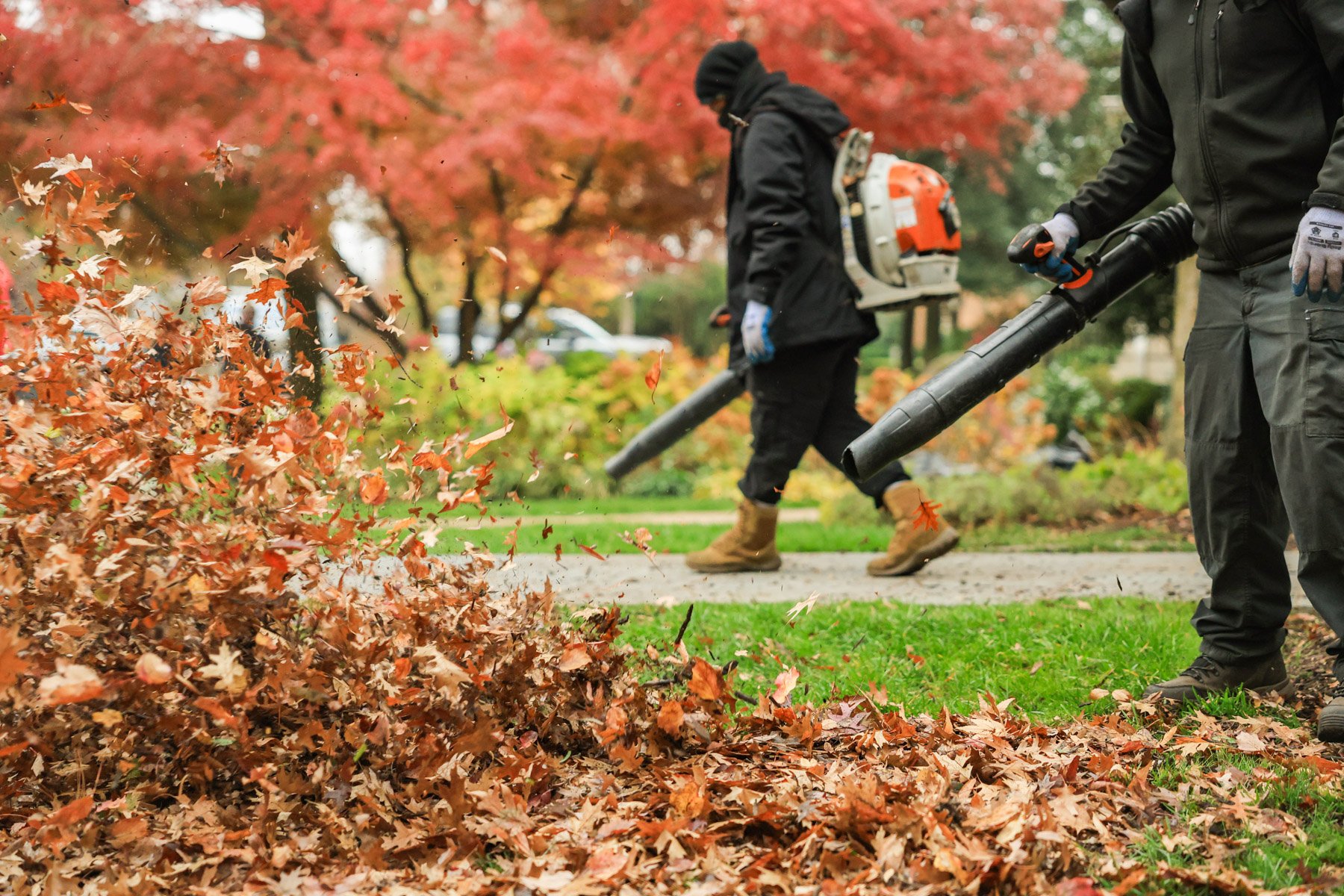 fall cleanup maintenance team leaf blowers