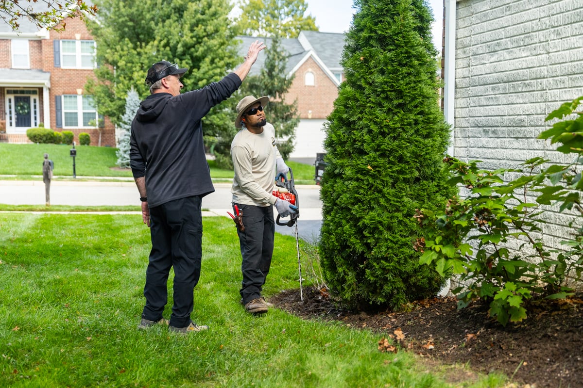 maintenance crew account manager shrub pruning trimming fall cleanup 4