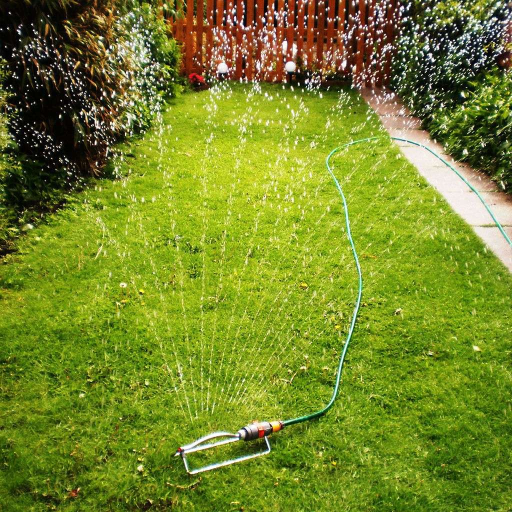 sprinkler overwatering lawn