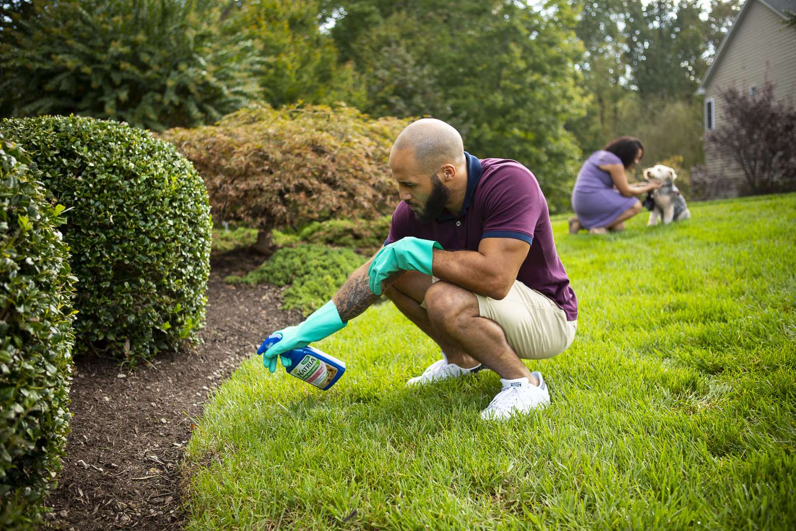 DIY lawn care