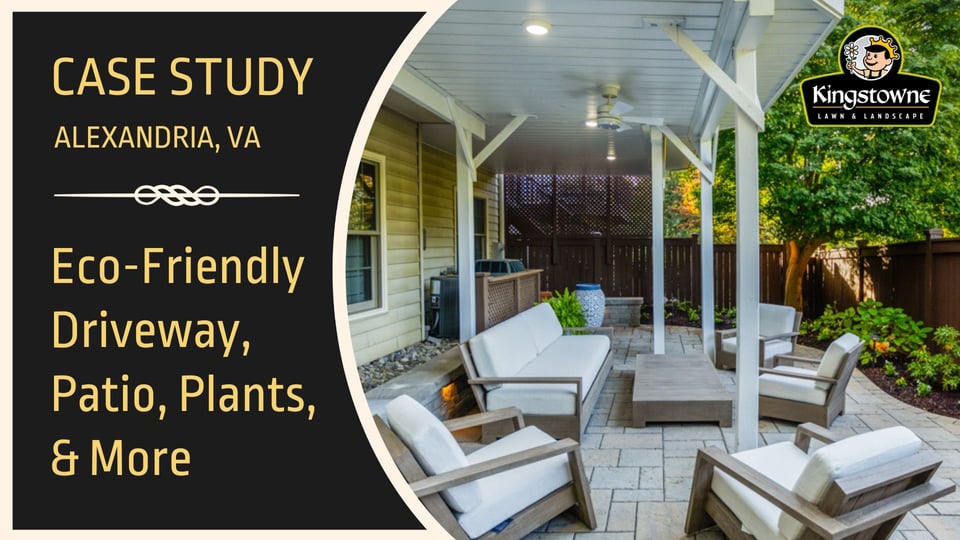 Driveway and Patio Landscape Design Case Study