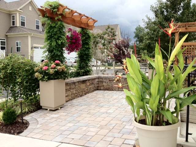 Trellis with vertical plants on patio