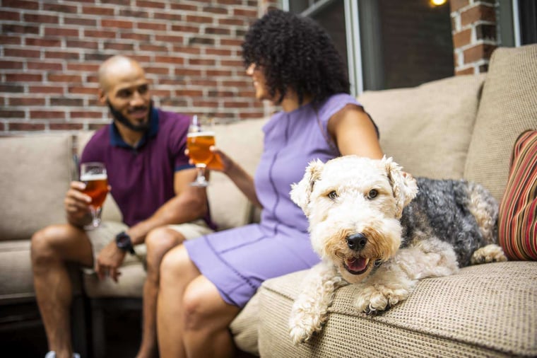 man and woman sitting on a deck with dog