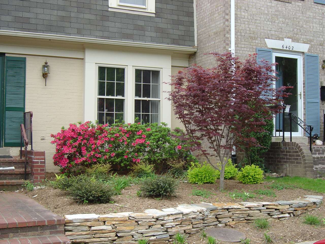 Townhouse with curb appeal from colorful plants