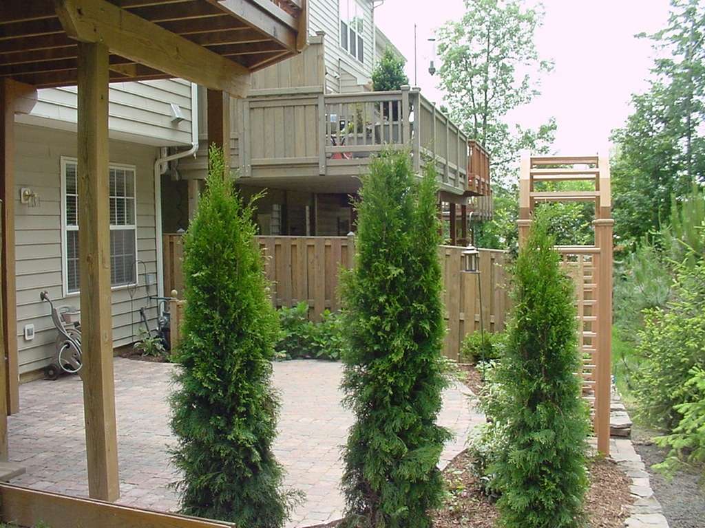 Townhouse patio with landscaping to create privacy
