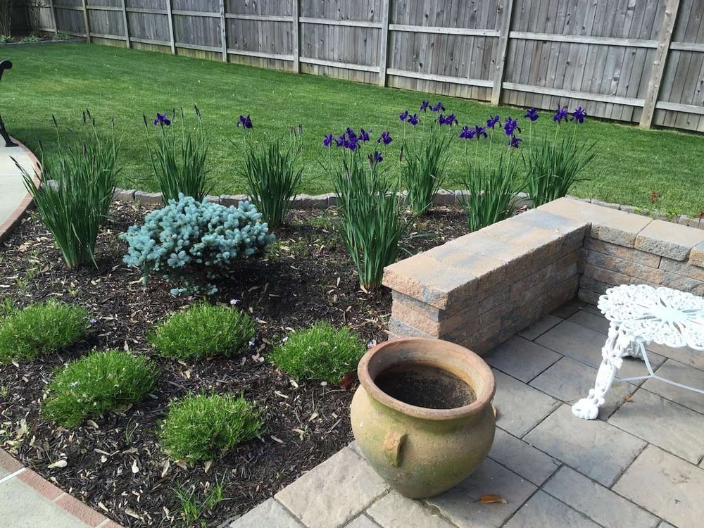 How to Stop Weeding Flower Beds for Good at Your Alexandria or