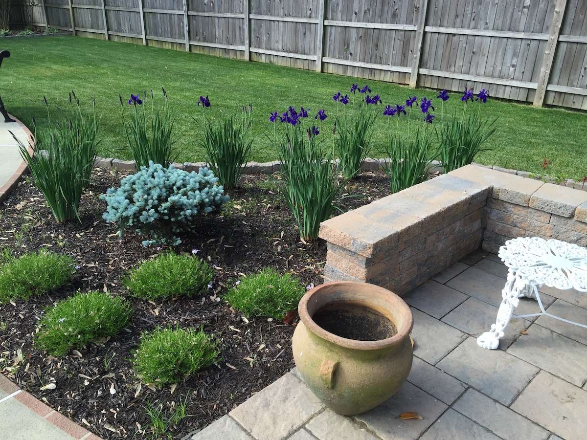 plantings around brick paver patio