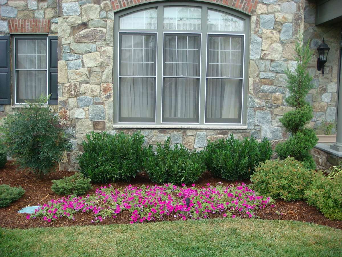 annual flowers planted in landscape bed in front of home