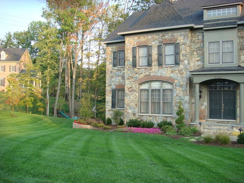 nice healthy lawn without thatch