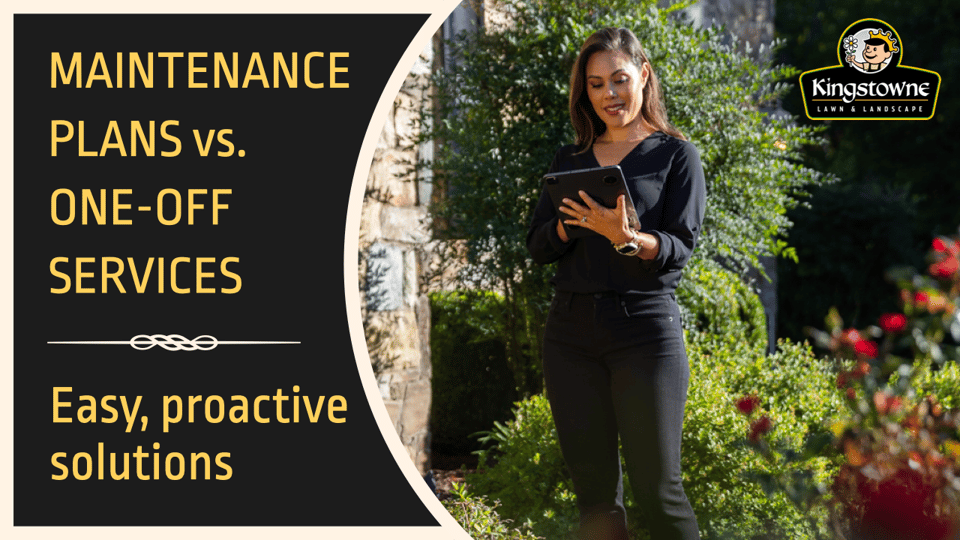 Maintenance Plans vs. One Off Services.001