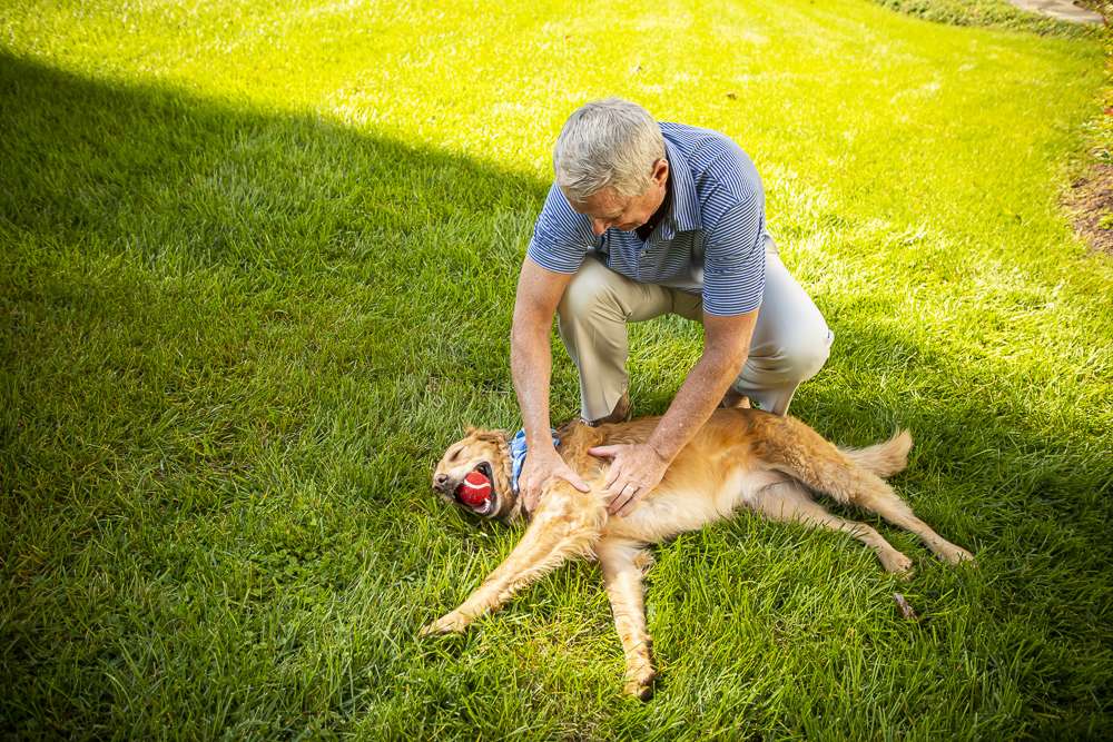 dog playing in yard