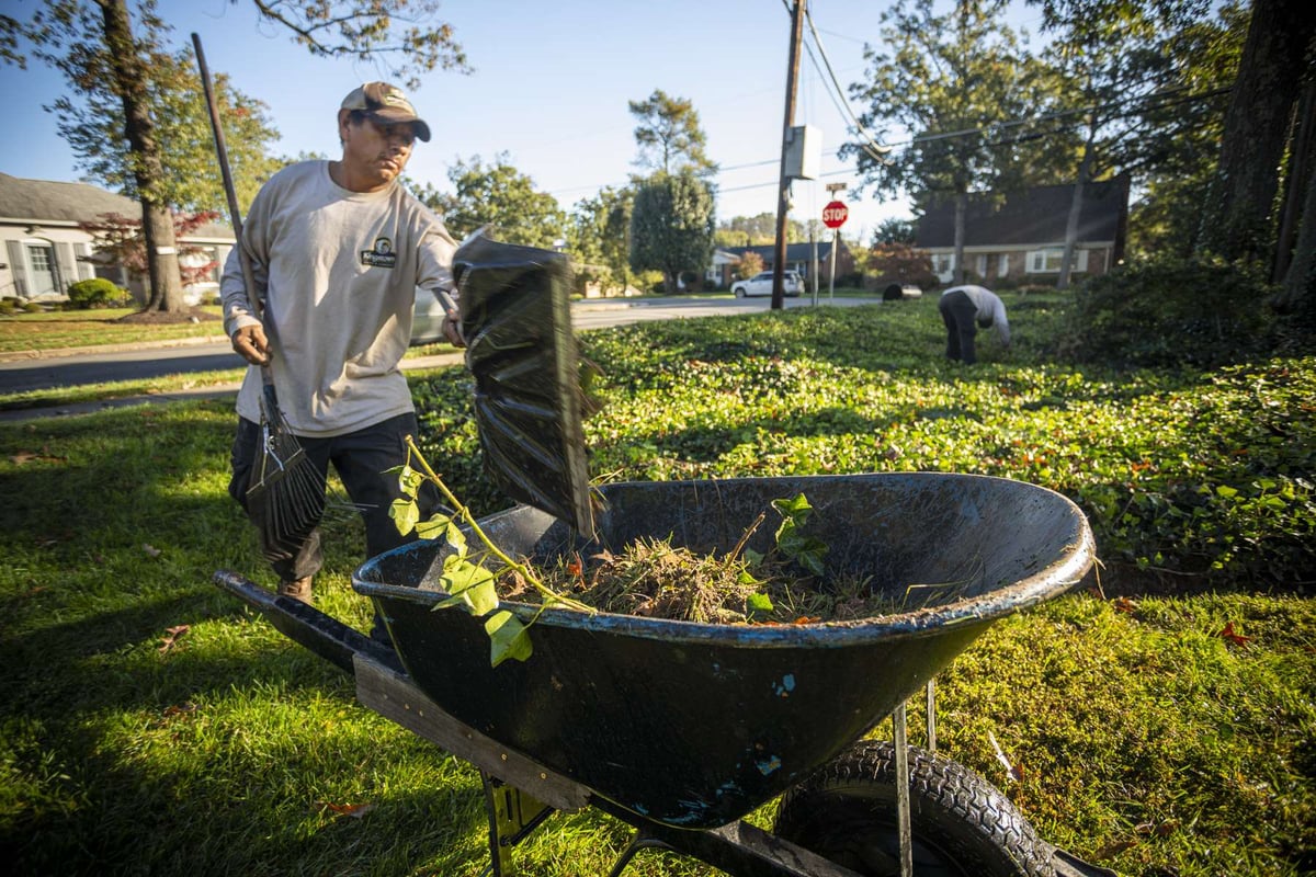 maintenance crew clean up grasses and brush and put in wheelbarrow